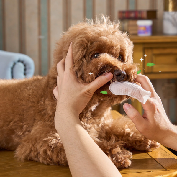 Lenços de limpeza odontológico para pets - Desenvolvido para pets que odeiam escovas